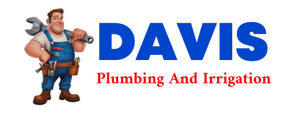 Trusted plumber in ZENDA